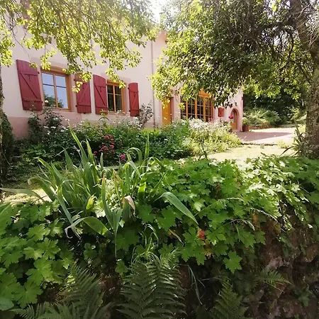 Maison Charmante Dans Le Village De Avec Jardin Ferienhaus Taintrux